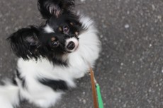 img_0165