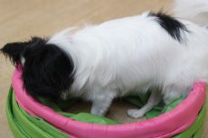 img_0186