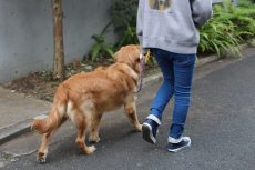img_0209
