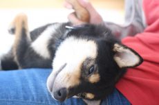 img_0574
