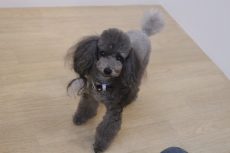 img_0686