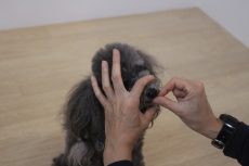 img_0689