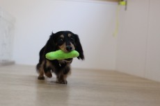 img_1935
