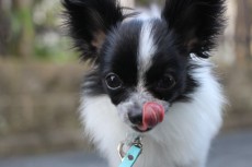 img_2243