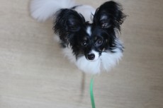 img_3343
