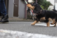 img_3925