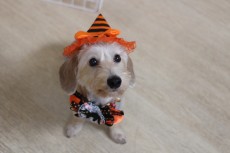 img_3960