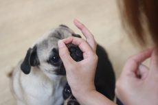img_8258