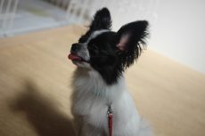 img_8368