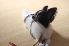 img_8373
