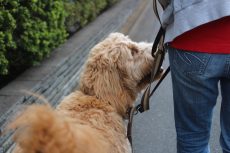 img_9876