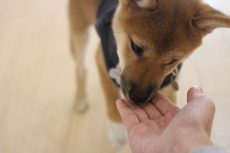 img_9946