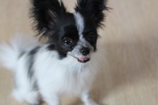 img_0982