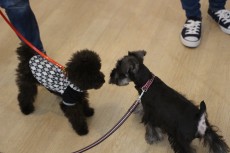 img_3788