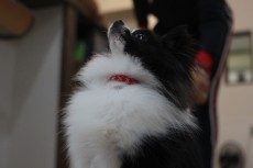 img_3861