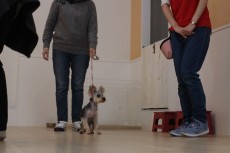 img_3876