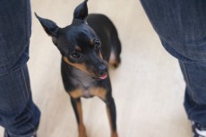 img_4598