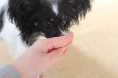 img_4885