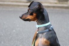 img_5183