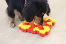 頭を使っておもちゃ遊び！