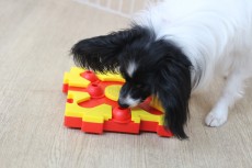 img_8203