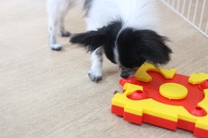 img_8296
