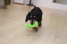 img_9374