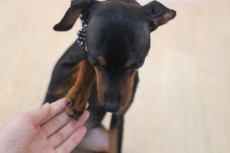 img_0071