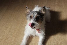 img_0190