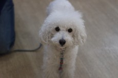 img_0276