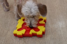 img_0809
