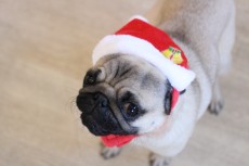 img_1577