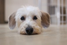 img_3407