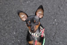 img_8713
