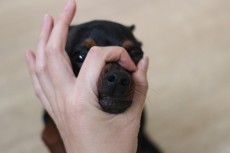 img_9091