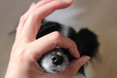img_9366