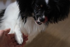 img_9386